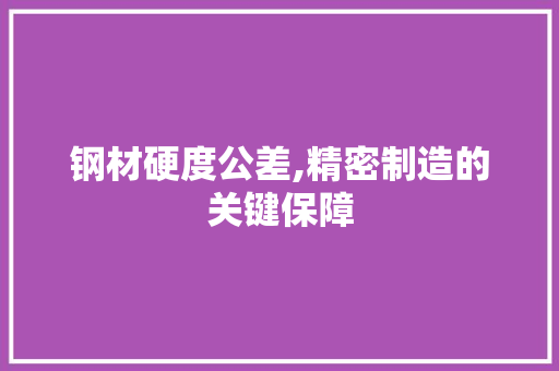钢材硬度公差,精密制造的关键保障