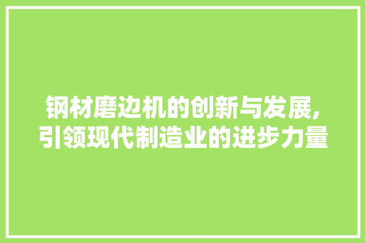 钢材磨边机的创新与发展,引领现代制造业的进步力量