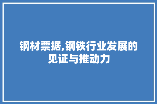 钢材票据,钢铁行业发展的见证与推动力