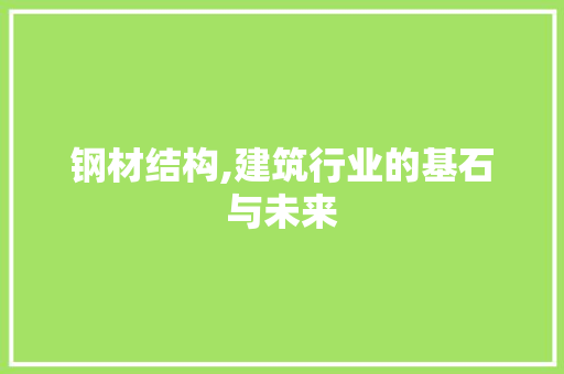 钢材结构,建筑行业的基石与未来