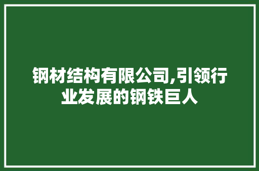 钢材结构有限公司,引领行业发展的钢铁巨人 装修材料