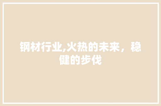 钢材行业,火热的未来，稳健的步伐