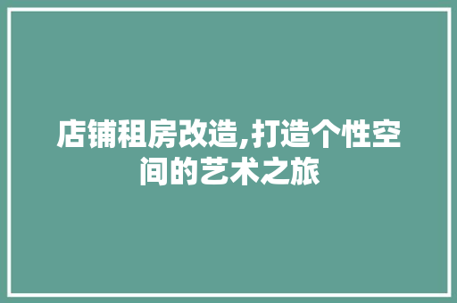 店铺租房改造,打造个性空间的艺术之旅