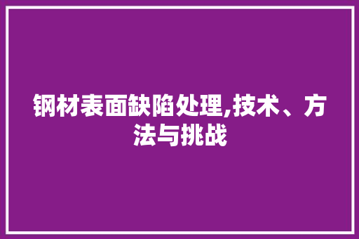 钢材表面缺陷处理,技术、方法与挑战