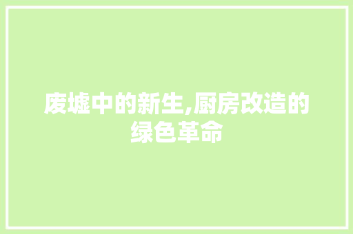 废墟中的新生,厨房改造的绿色革命