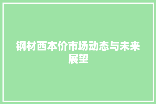 钢材西本价市场动态与未来展望