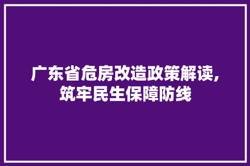 广东省危房改造政策解读,筑牢民生保障防线