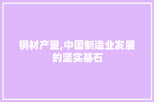 钢材产量,中国制造业发展的坚实基石