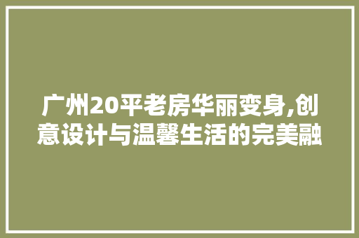 广州20平老房华丽变身,创意设计与温馨生活的完美融合