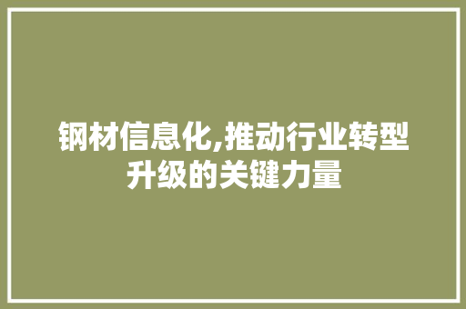 钢材信息化,推动行业转型升级的关键力量