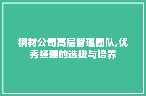 钢材公司高层管理团队,优秀经理的选拔与培养
