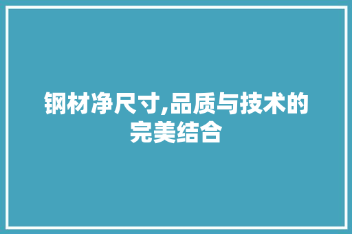 钢材净尺寸,品质与技术的完美结合