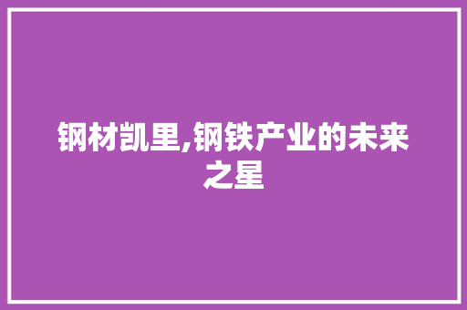 钢材凯里,钢铁产业的未来之星