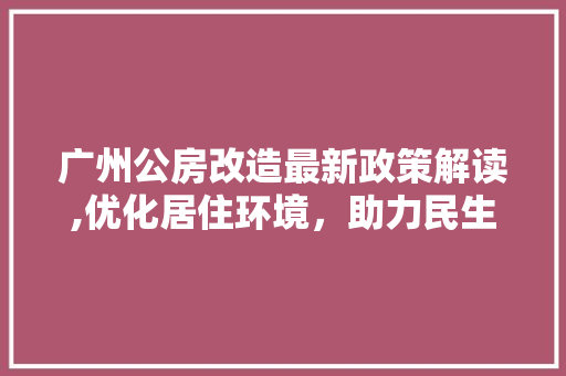 广州公房改造最新政策解读,优化居住环境，助力民生改善