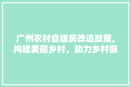 广州农村自建房改造政策,构建美丽乡村，助力乡村振兴