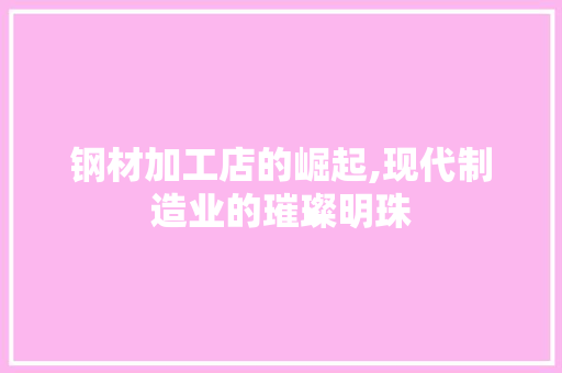 钢材加工店的崛起,现代制造业的璀璨明珠