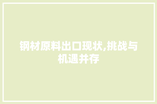 钢材原料出口现状,挑战与机遇并存