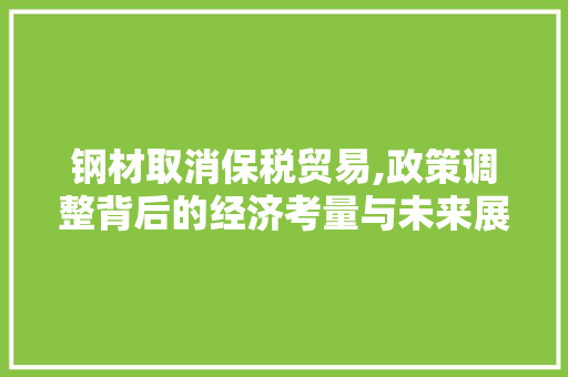 钢材取消保税贸易,政策调整背后的经济考量与未来展望