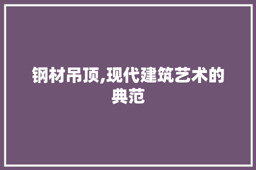 钢材吊顶,现代建筑艺术的典范