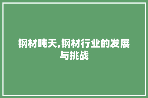 钢材吨天,钢材行业的发展与挑战