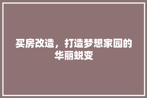 买房改造，打造梦想家园的华丽蜕变