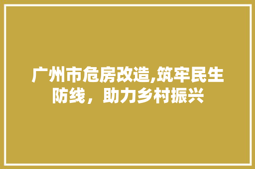 广州市危房改造,筑牢民生防线，助力乡村振兴