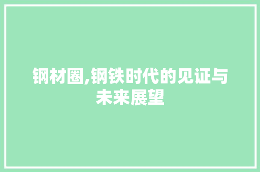 钢材圈,钢铁时代的见证与未来展望