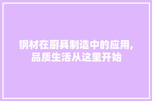 钢材在厨具制造中的应用,品质生活从这里开始