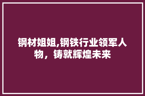 钢材姐姐,钢铁行业领军人物，铸就辉煌未来