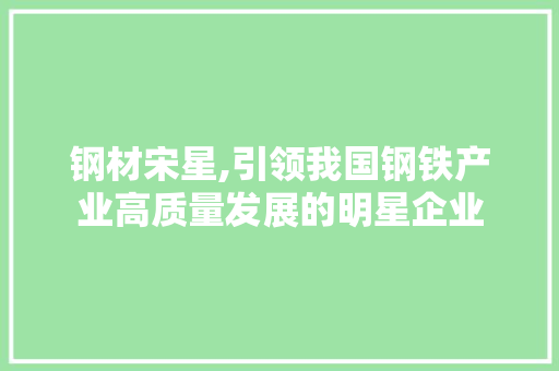 钢材宋星,引领我国钢铁产业高质量发展的明星企业