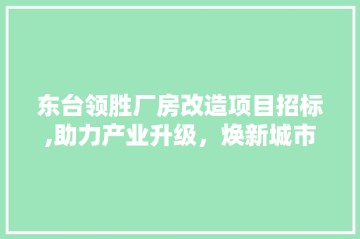 东台领胜厂房改造项目招标,助力产业升级，焕新城市面貌