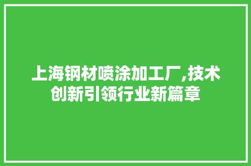 上海钢材喷涂加工厂,技术创新引领行业新篇章