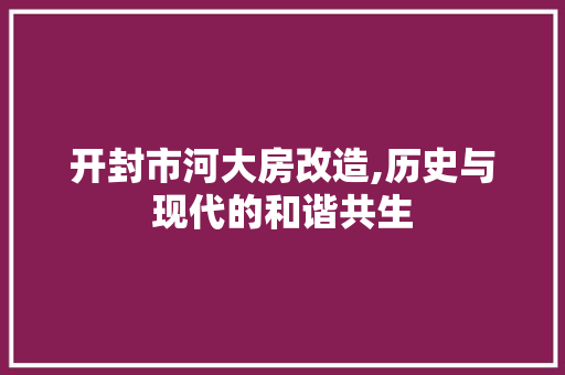 开封市河大房改造,历史与现代的和谐共生