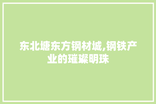东北塘东方钢材城,钢铁产业的璀璨明珠