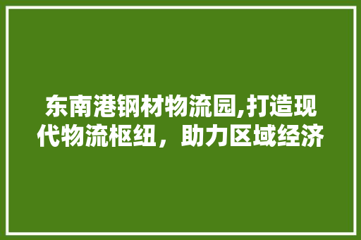 东南港钢材物流园,打造现代物流枢纽，助力区域经济腾飞 地面装修