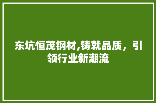 东坑恒茂钢材,铸就品质，引领行业新潮流