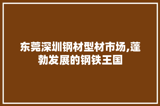 东莞深圳钢材型材市场,蓬勃发展的钢铁王国