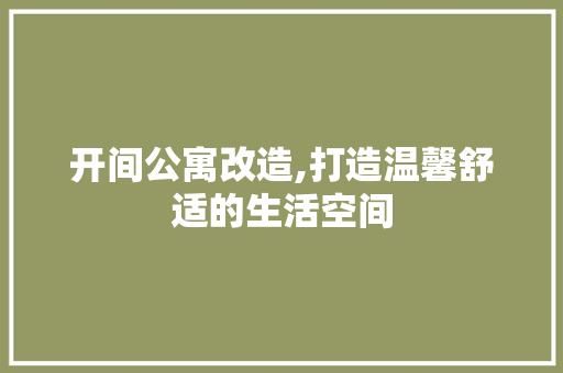 开间公寓改造,打造温馨舒适的生活空间