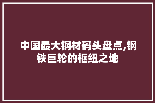 中国最大钢材码头盘点,钢铁巨轮的枢纽之地 墙面装饰