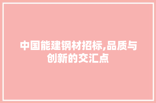 中国能建钢材招标,品质与创新的交汇点
