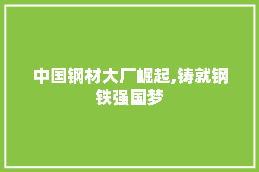 中国钢材大厂崛起,铸就钢铁强国梦