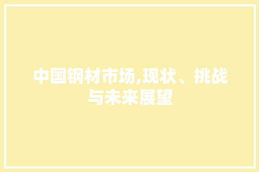 中国钢材市场,现状、挑战与未来展望