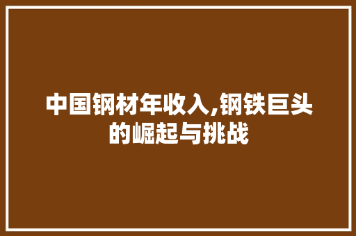 中国钢材年收入,钢铁巨头的崛起与挑战