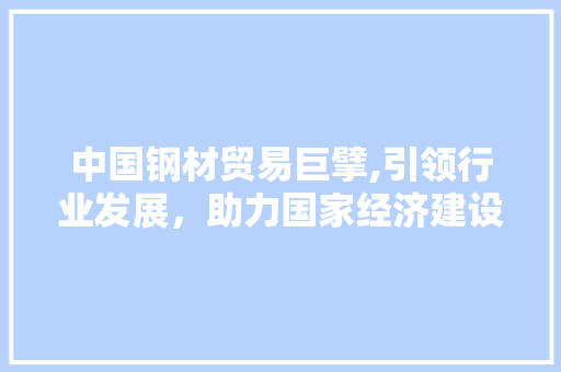 中国钢材贸易巨擘,引领行业发展，助力国家经济建设 装修攻略