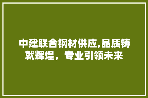 中建联合钢材供应,品质铸就辉煌，专业引领未来 门窗装修