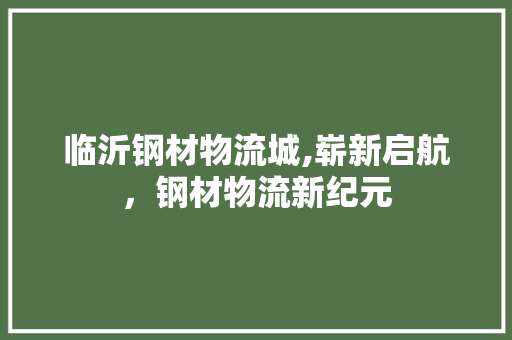 临沂钢材物流城,崭新启航，钢材物流新纪元