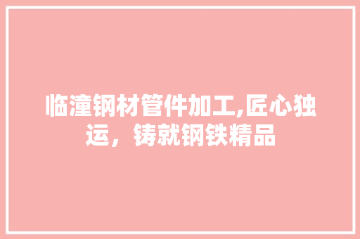 临潼钢材管件加工,匠心独运，铸就钢铁精品