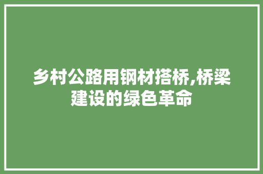 乡村公路用钢材搭桥,桥梁建设的绿色革命
