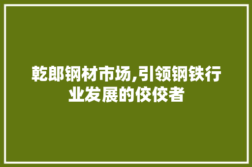 乾郎钢材市场,引领钢铁行业发展的佼佼者 建筑设计
