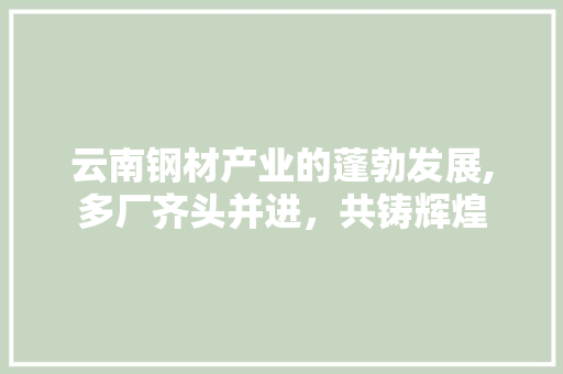 云南钢材产业的蓬勃发展,多厂齐头并进，共铸辉煌